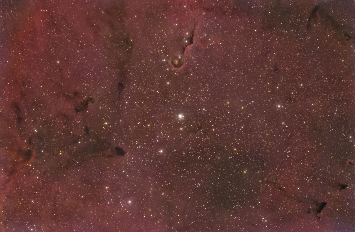 NGC 6992 - Meglica Tenčica (The Eastern Veil Nebula)