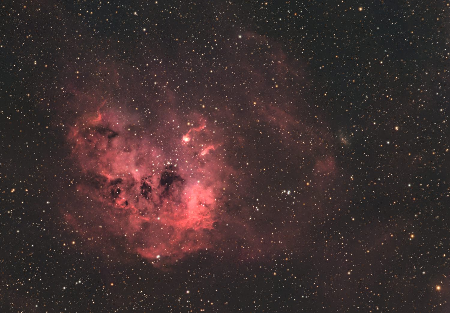 IC410 - Paglavci (The Tadpoles Nebula)