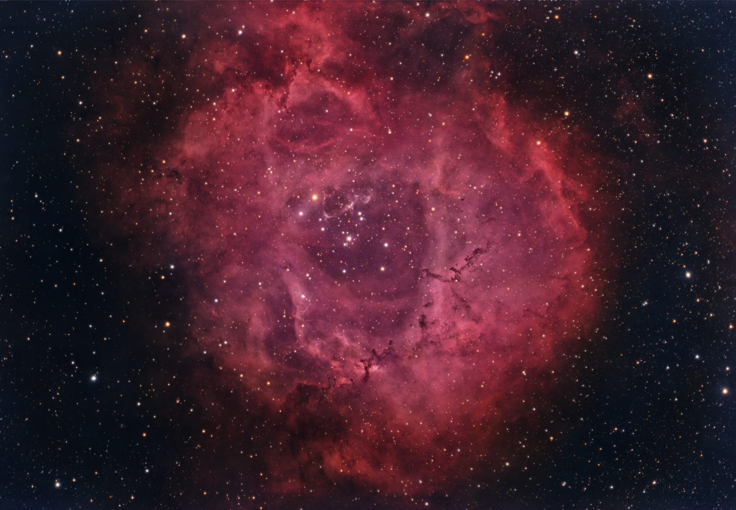 NGC 2244 - Meglica Rozeta